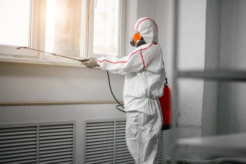 Professional mold remediation services in Coden, AL